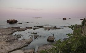 Le Bain Suite - Accanto Al Mare Vicinissima A Ortigia E Al Teatro